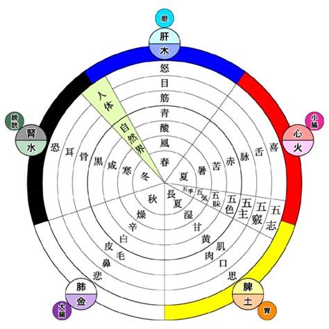 五行 時間|陰陽でみる1日の時間属性｜宏福中医研